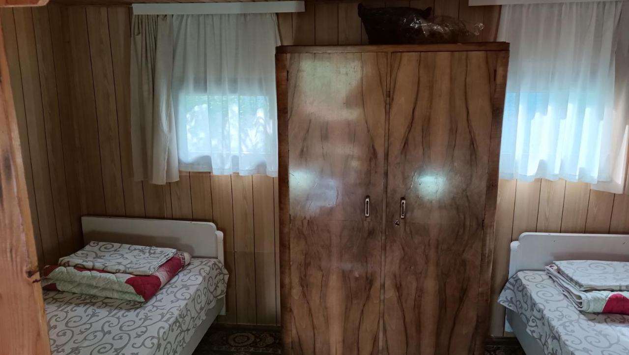 Čačak Vikendica Ovcar Banjaヴィラ エクステリア 写真